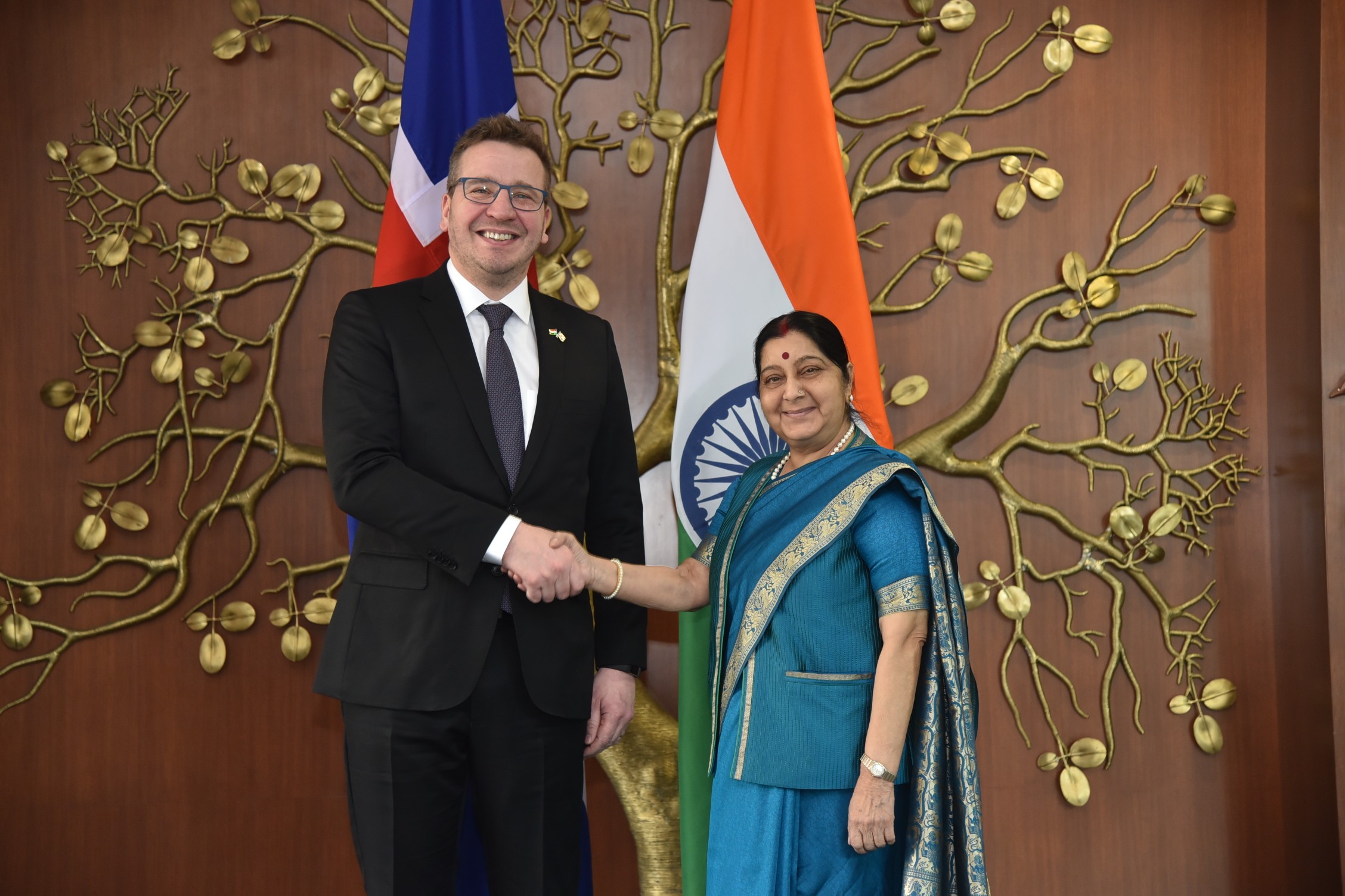Foreign Ministers of Iceland and India - mynd