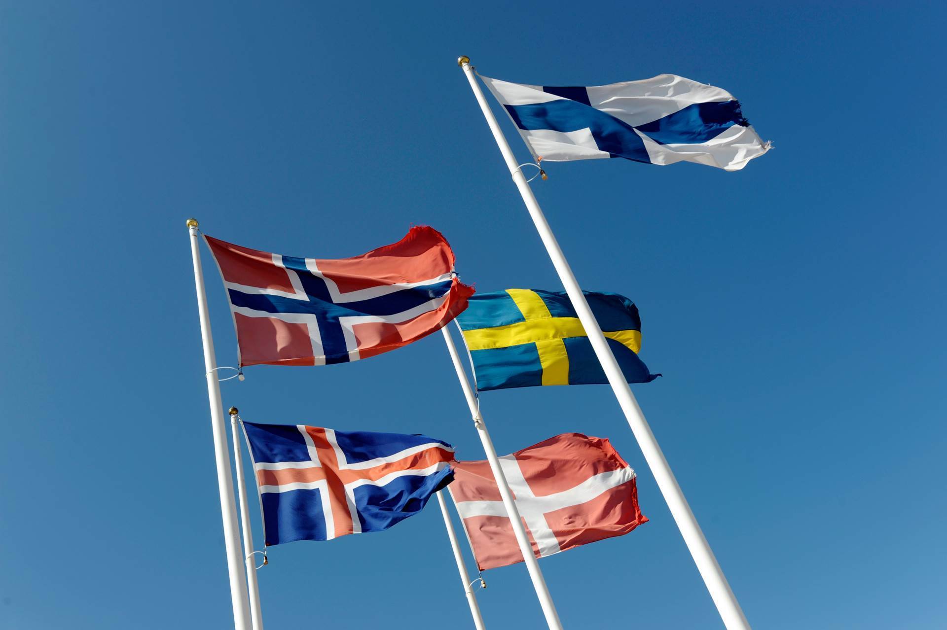 Statement by Denmark, Iceland and Norway on Finland and Sweden’s decision to apply for NATO membership - mynd