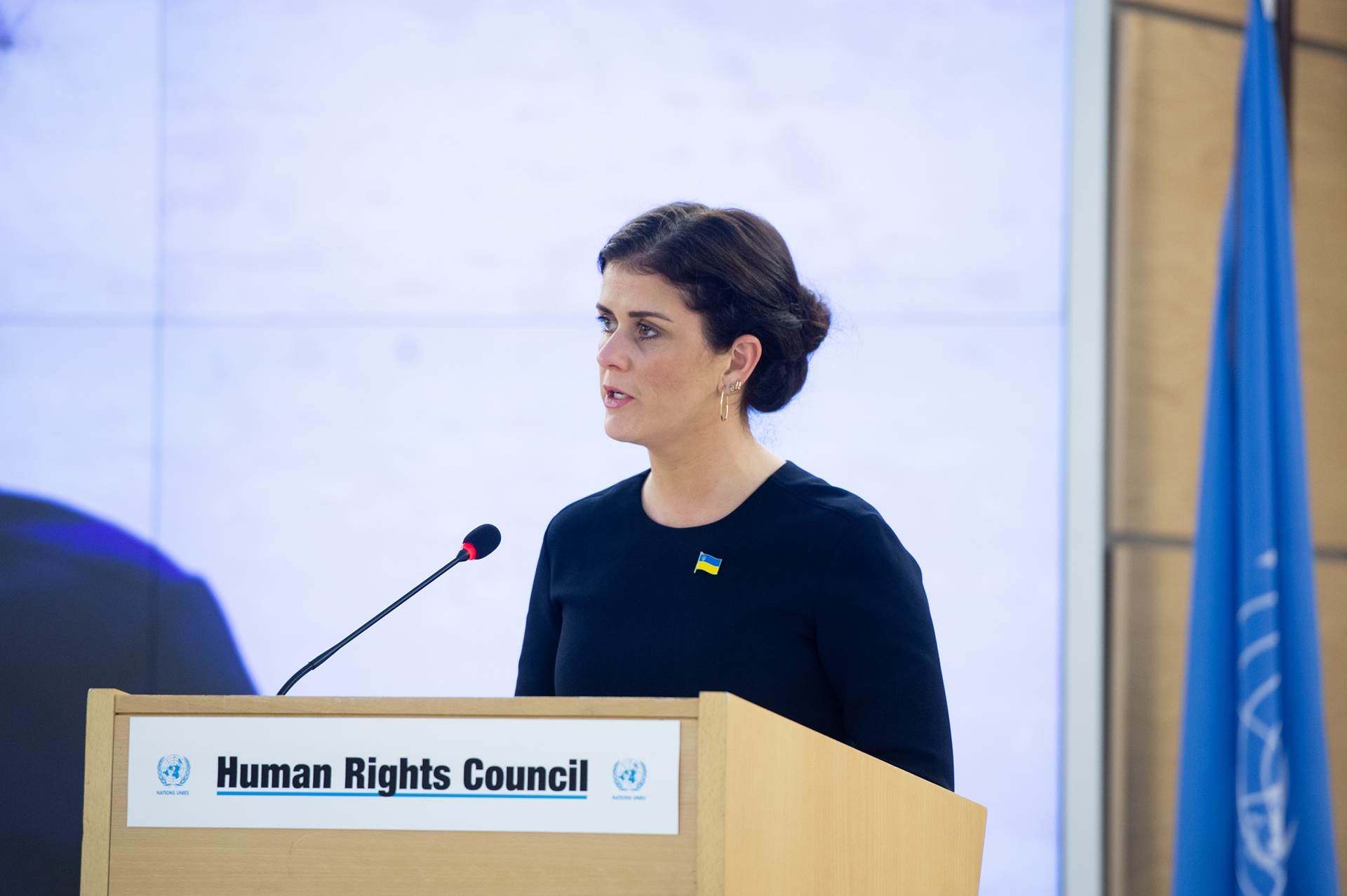 Minister for Foreign Affairs addressed the United Nations Human Rights Council - mynd