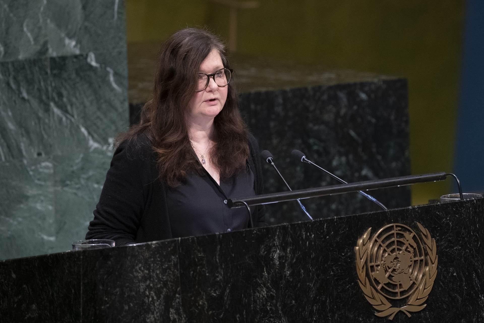 Statement to the General Assembly on Oceans and the Law of the Sea by Ambassador Bergdis Ellertsdottir - mynd
