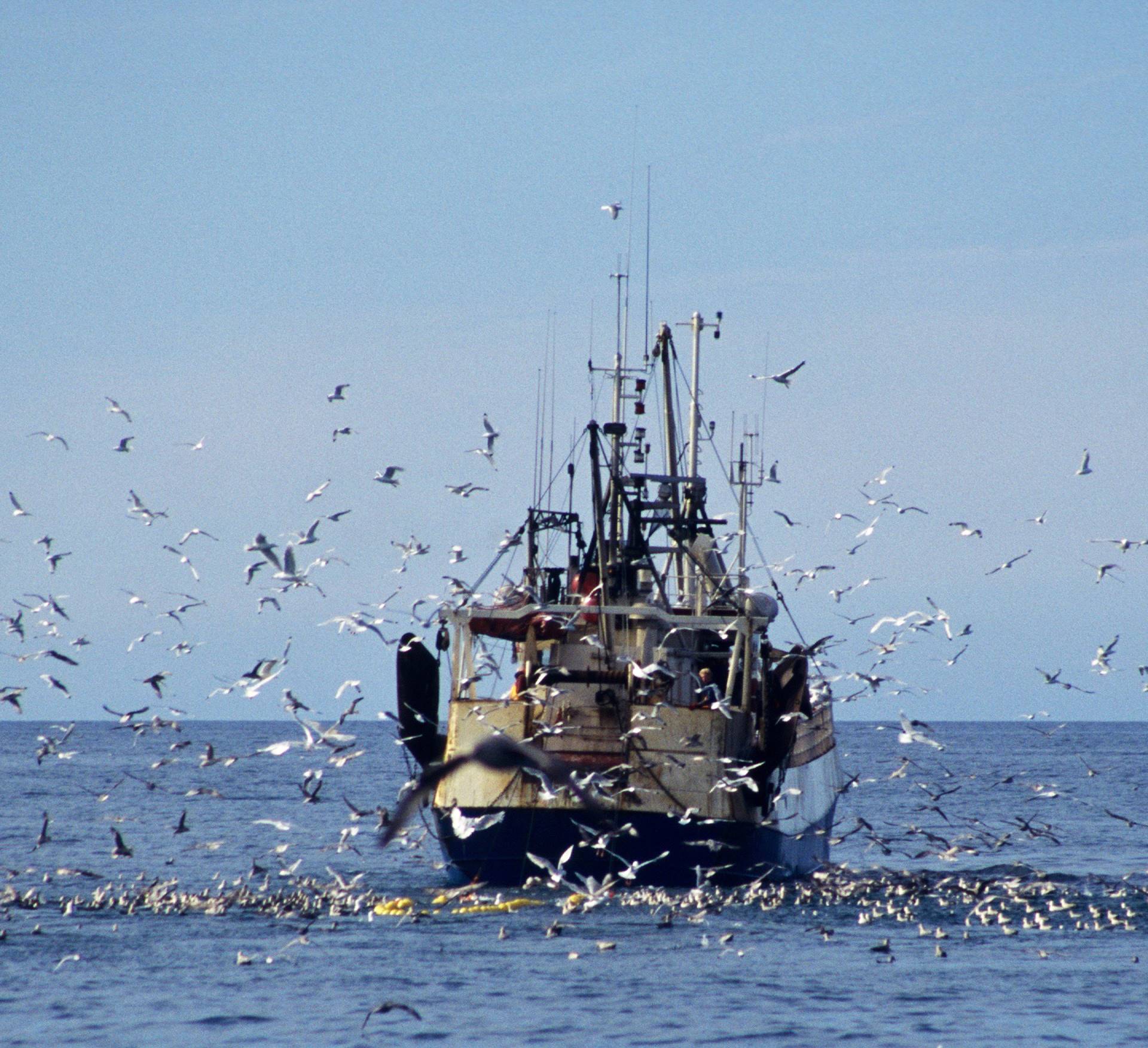 North-Atlantic Fisheries Ministers Conference – March 11th, 2021  Effects of COVID-19 on the industry - mynd