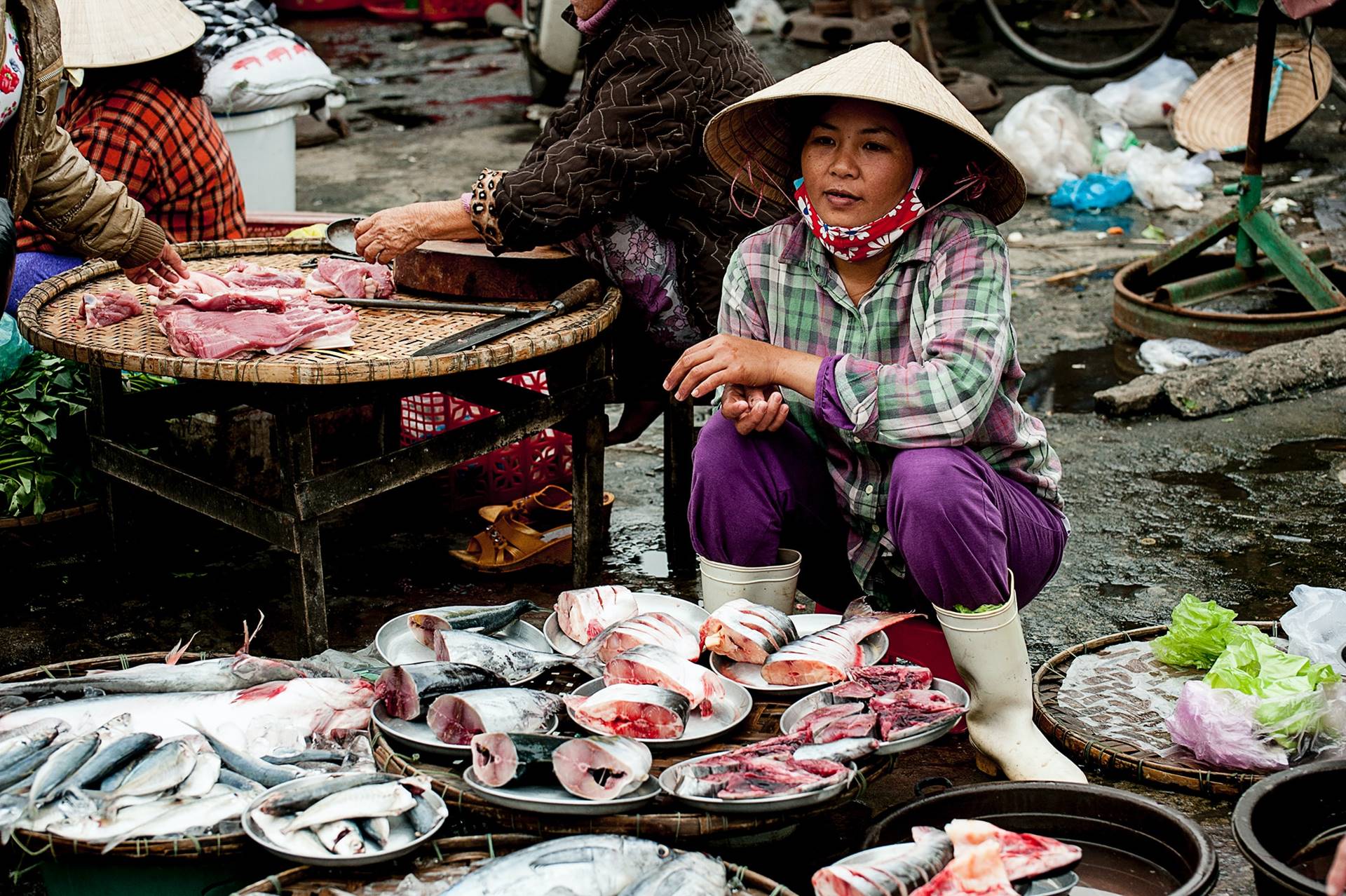 MAR Advisors to enhance profitability and quality of seafood in Vietnam with support from SDGs fund - mynd