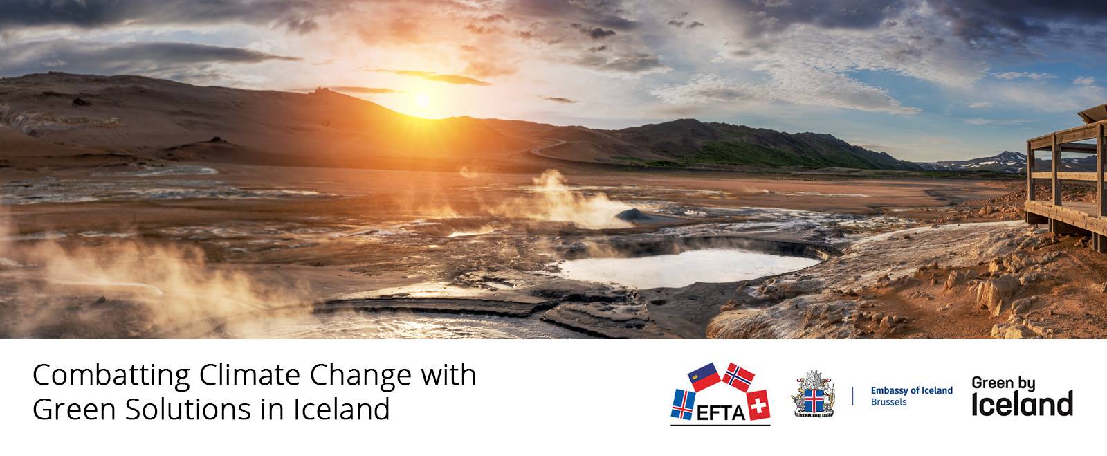 Webinar on Combatting Climate Change with Green Solutions in Iceland - mynd