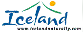 iceland naturally logo