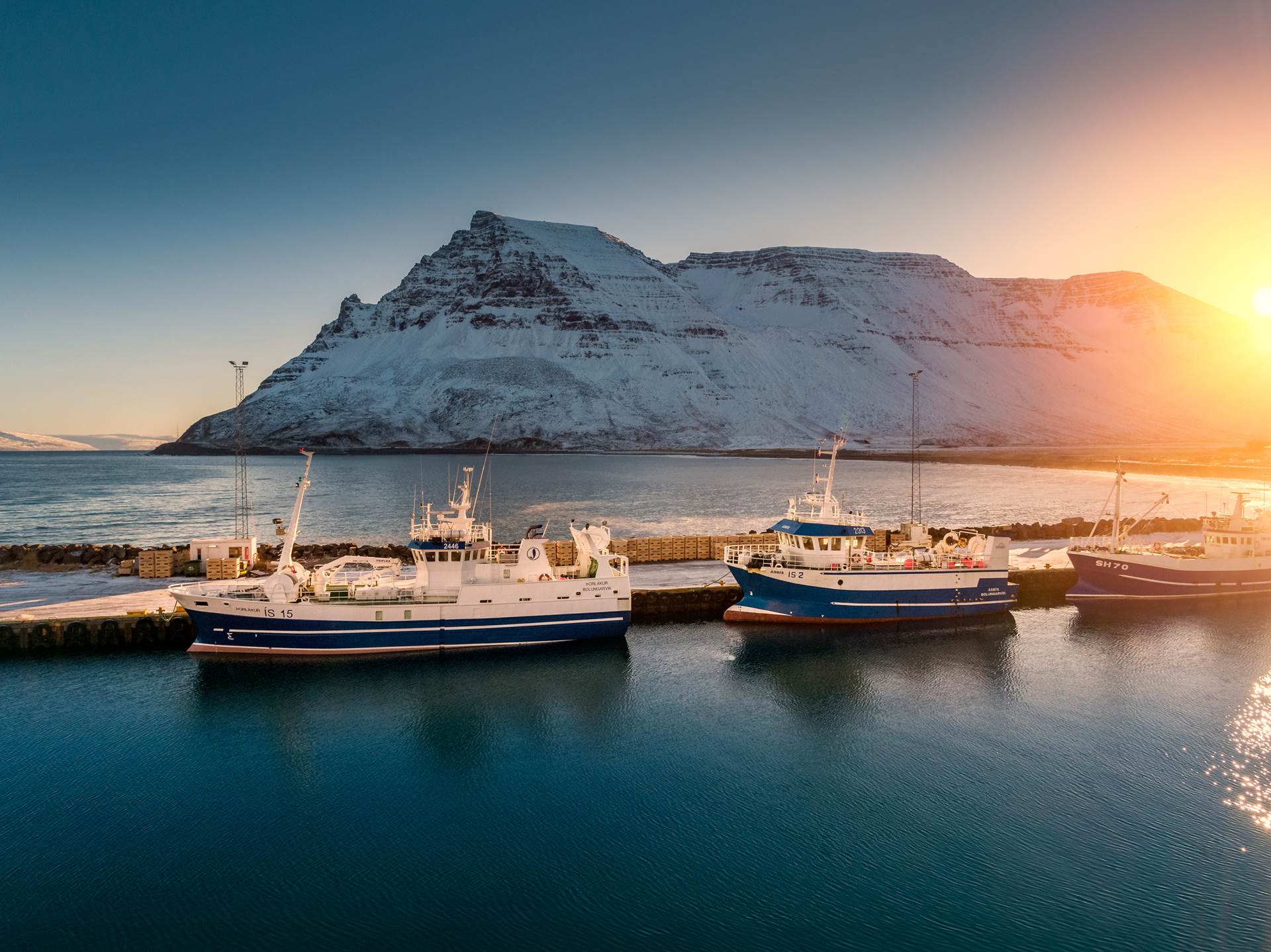 Icelandic Seafood Products, Technology & Services - Iceland is All You Need to Run Your Business - mynd