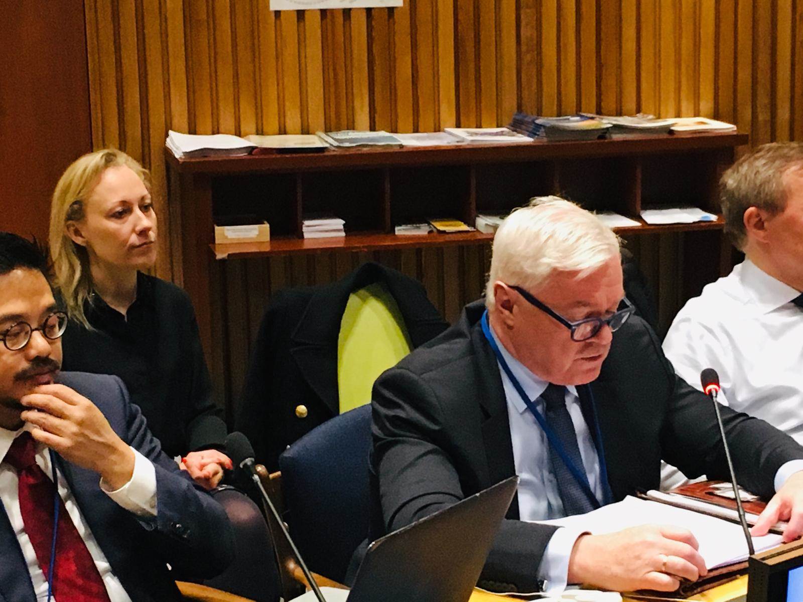 General Statement of Iceland by Þórður Ægir Óskarsson to the 3rd Preparatory Committee for the 2020 NPT Review Conference - mynd