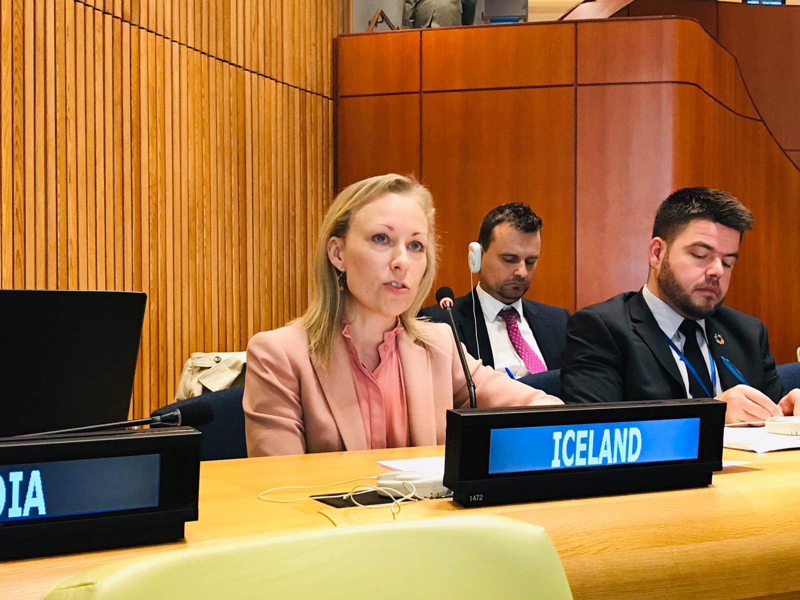 Joint Nordic Statement to the General Assembly on Protection of Persons in the Event of Disasters - mynd