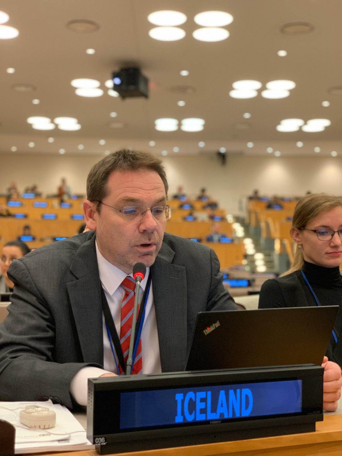 Statement by Davíð Logi Sigurðsson, Director for Human Rights to the Third Committee - mynd