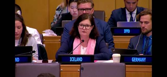 Statement by Ambassador Bergdis Ellertsdottir at the UNICEF Executive Board 2019 Annual Session  - mynd