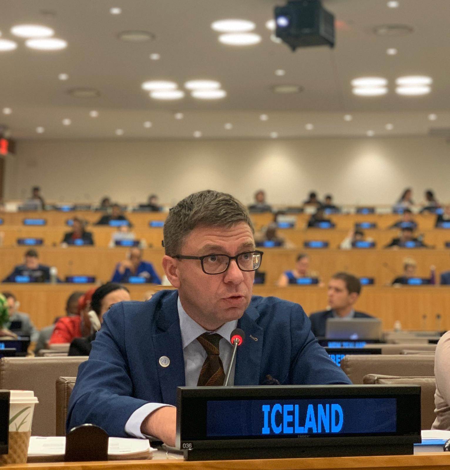 Ambassador Jörundur Valtýsson, Permanent Representative of Iceland to the UN - mynd