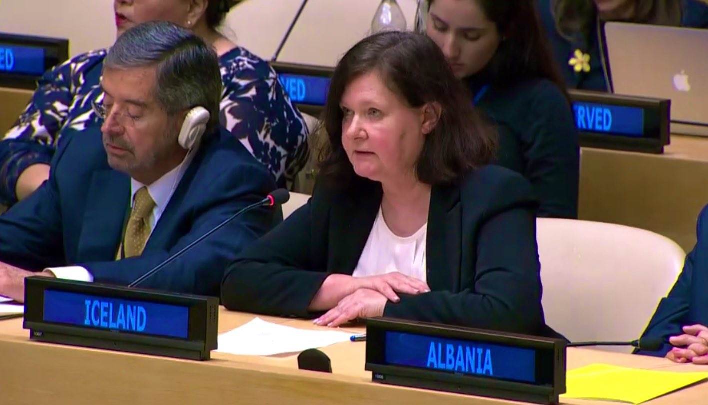 Statement by Ambassador Bergdis Ellertsdottir at the Pleding Conference on Women, Peace and Security  - mynd
