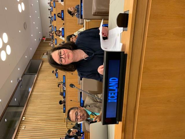 Statement by Ambassador Bergdis Ellertsdottir on 52nd Session of the Committee on Population and Development - mynd