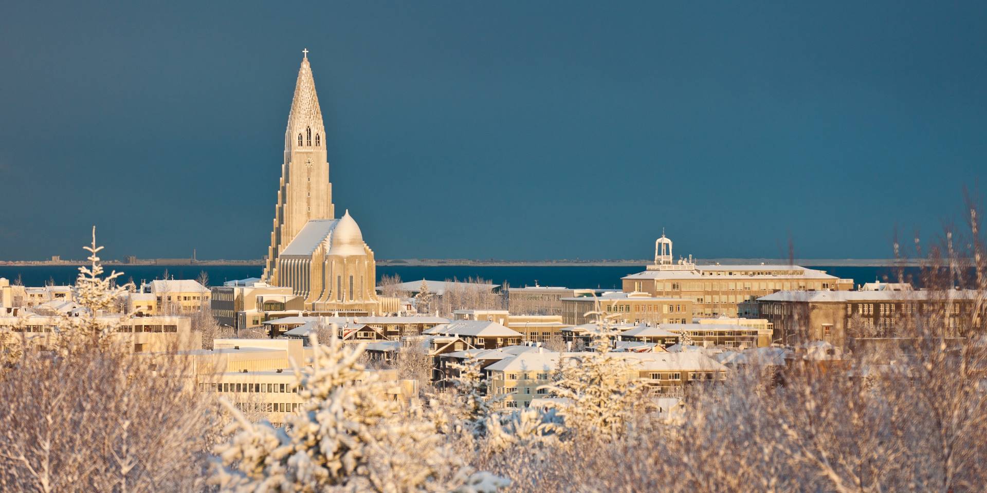 L'Islande lève toutes ses restrictions sanitaires - mynd