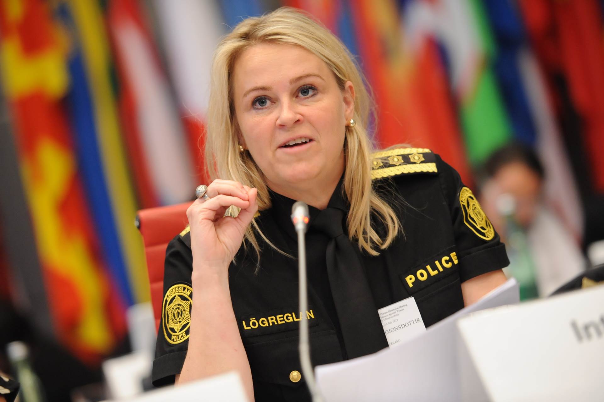 Sigríður Björk Guðjónsdóttir Police Commissioner at the 2nd Supplementary OSCE Human Dimension Meeting in Vienna, 2-3 July 2018. - mynd