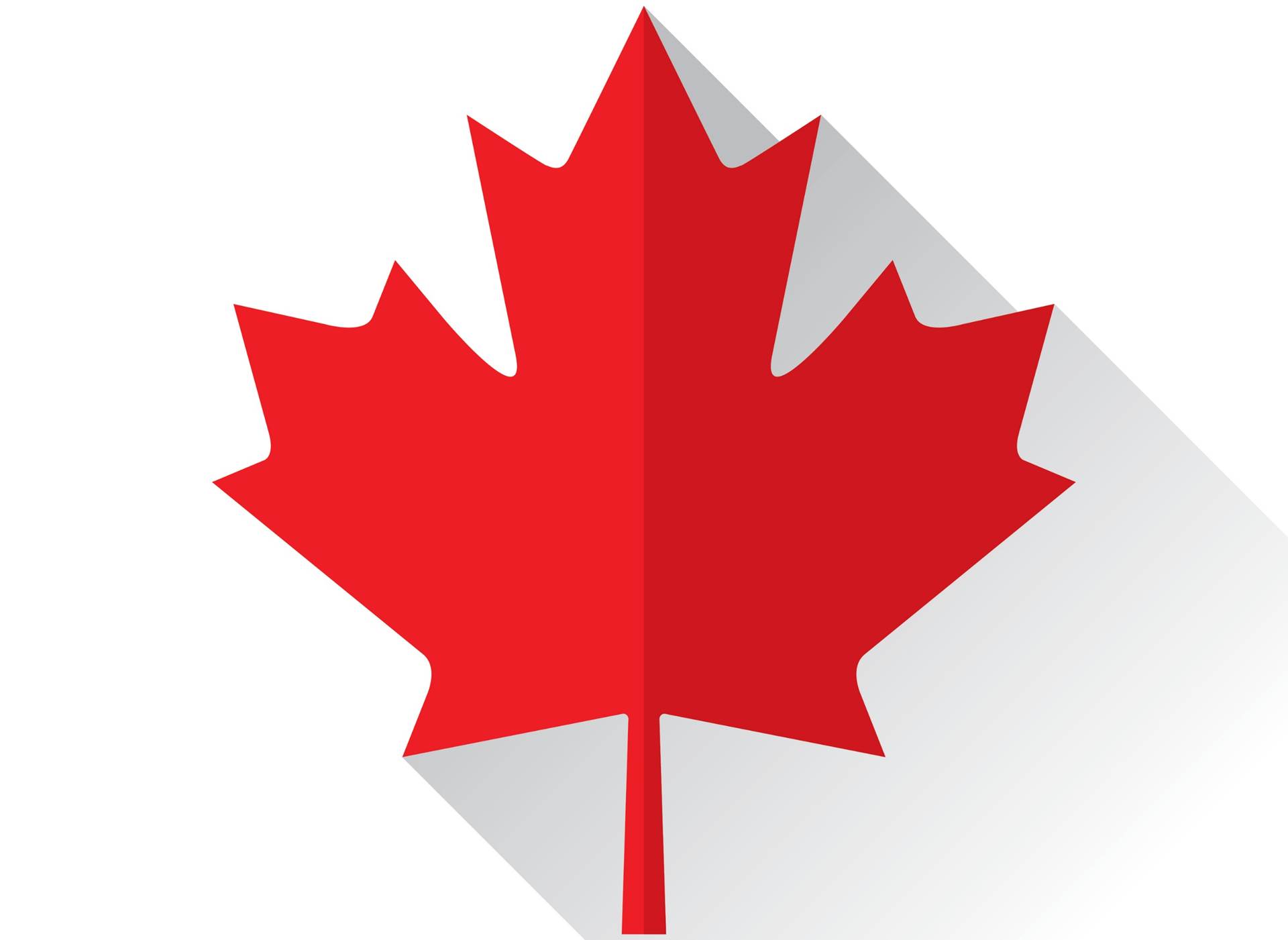 canadian maple leaf